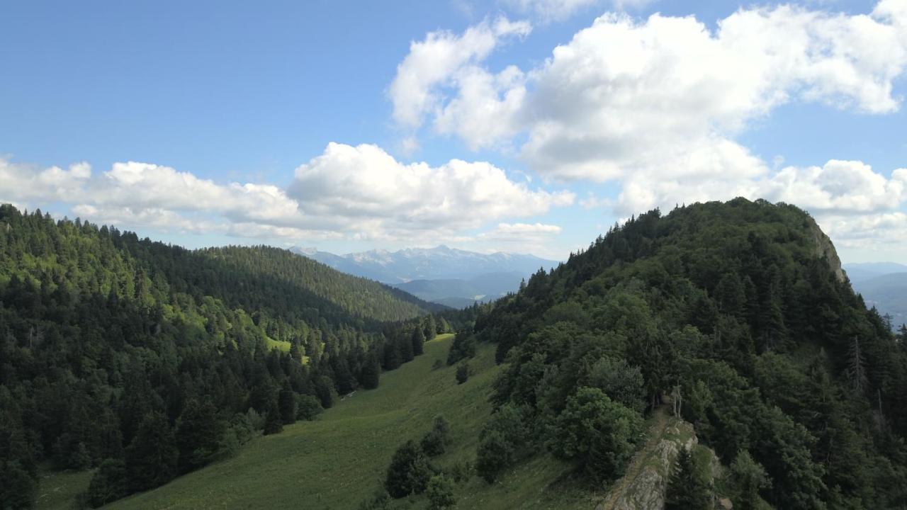 Plenouze Apartamento Autrans-Meaudre-en-Vercors Exterior foto